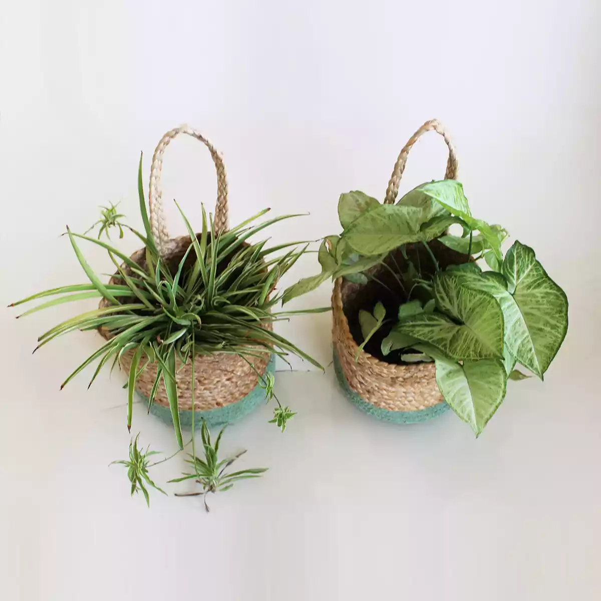 Olive Green Jute Hanging Planters Set of 2