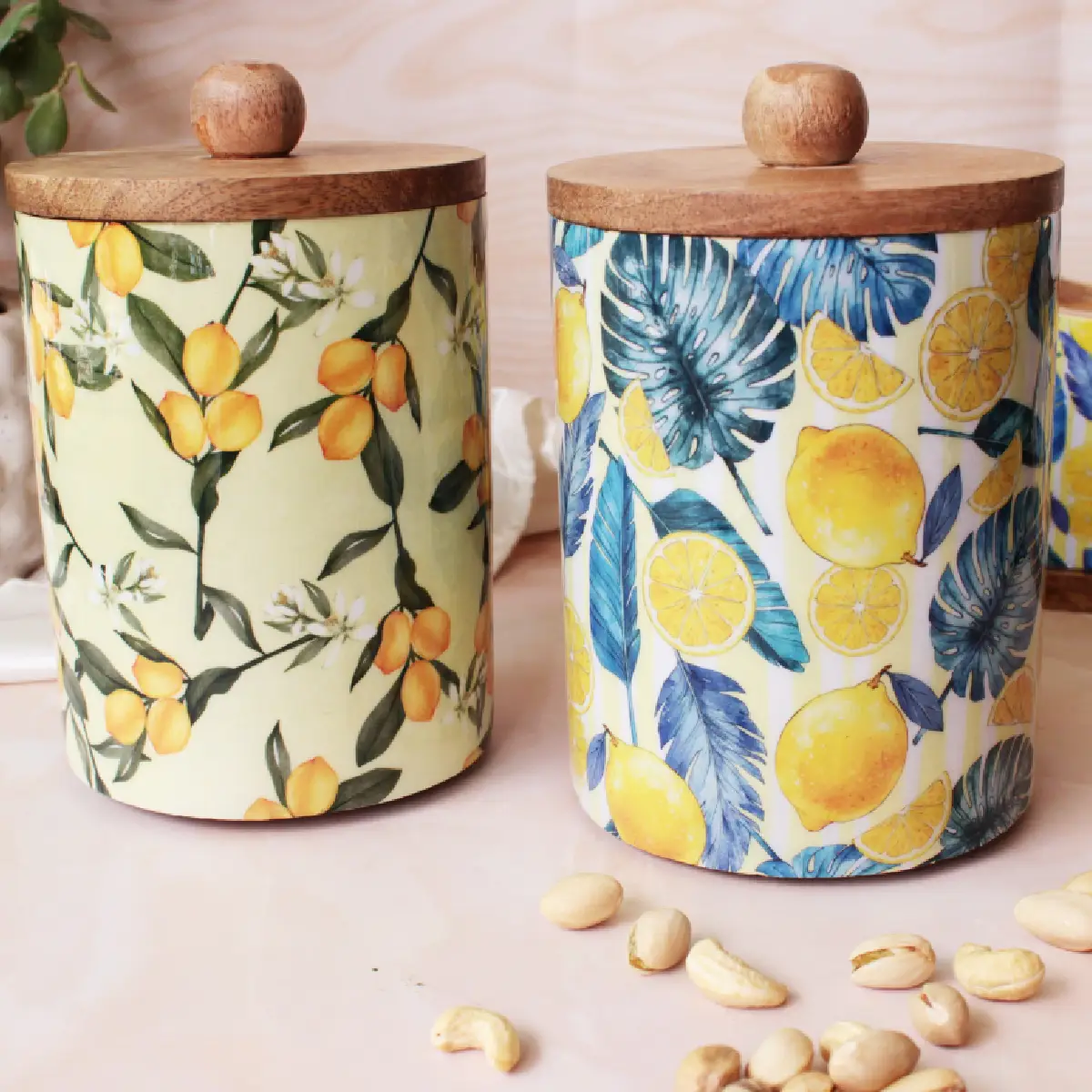 Zesty Citrus Rush MangoWood XL Container with Stainless Steel Storage Jar & Lid  (Set of 2)