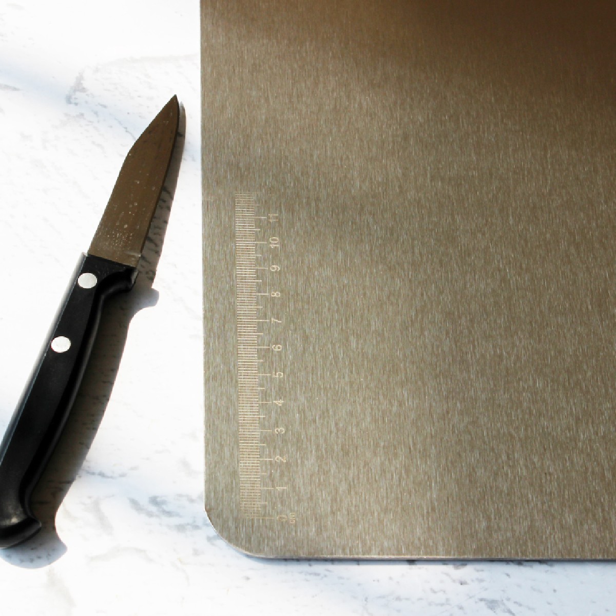 Stainless Steel Chopping Board with Grip Handle (12*14 Inches x 1MM (Height) )