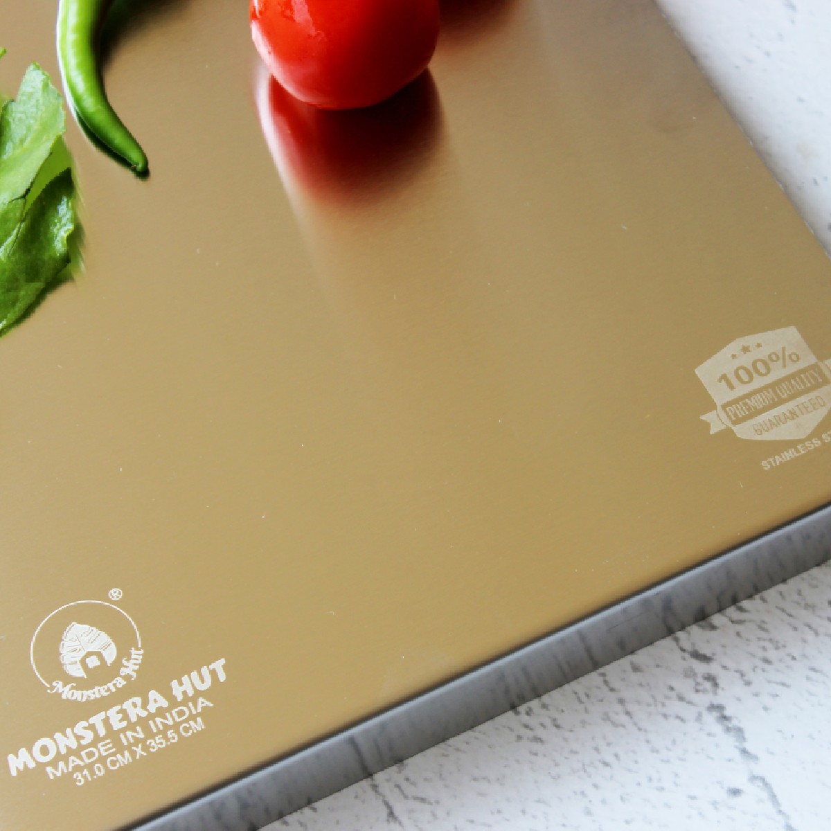 Stainless Steel Chopping Board with Grip Handle (10*14 Inches x 1MM (Height) )
